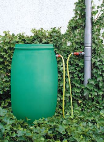 Regenwassersammler Regendieb mit Schlauch aus Titanzink